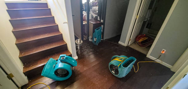 Best Carpet water damage restoration  in Flagtown, NJ