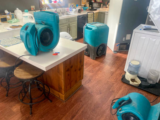 Best 24-hour water damage restoration  in Flagtown, NJ