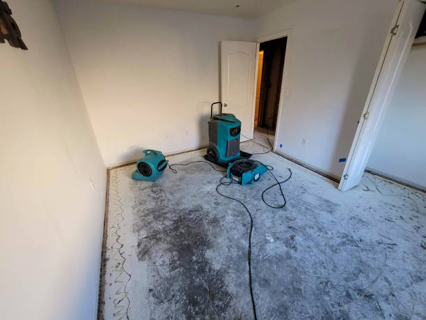 Best Emergency water damage restoration  in Flagtown, NJ